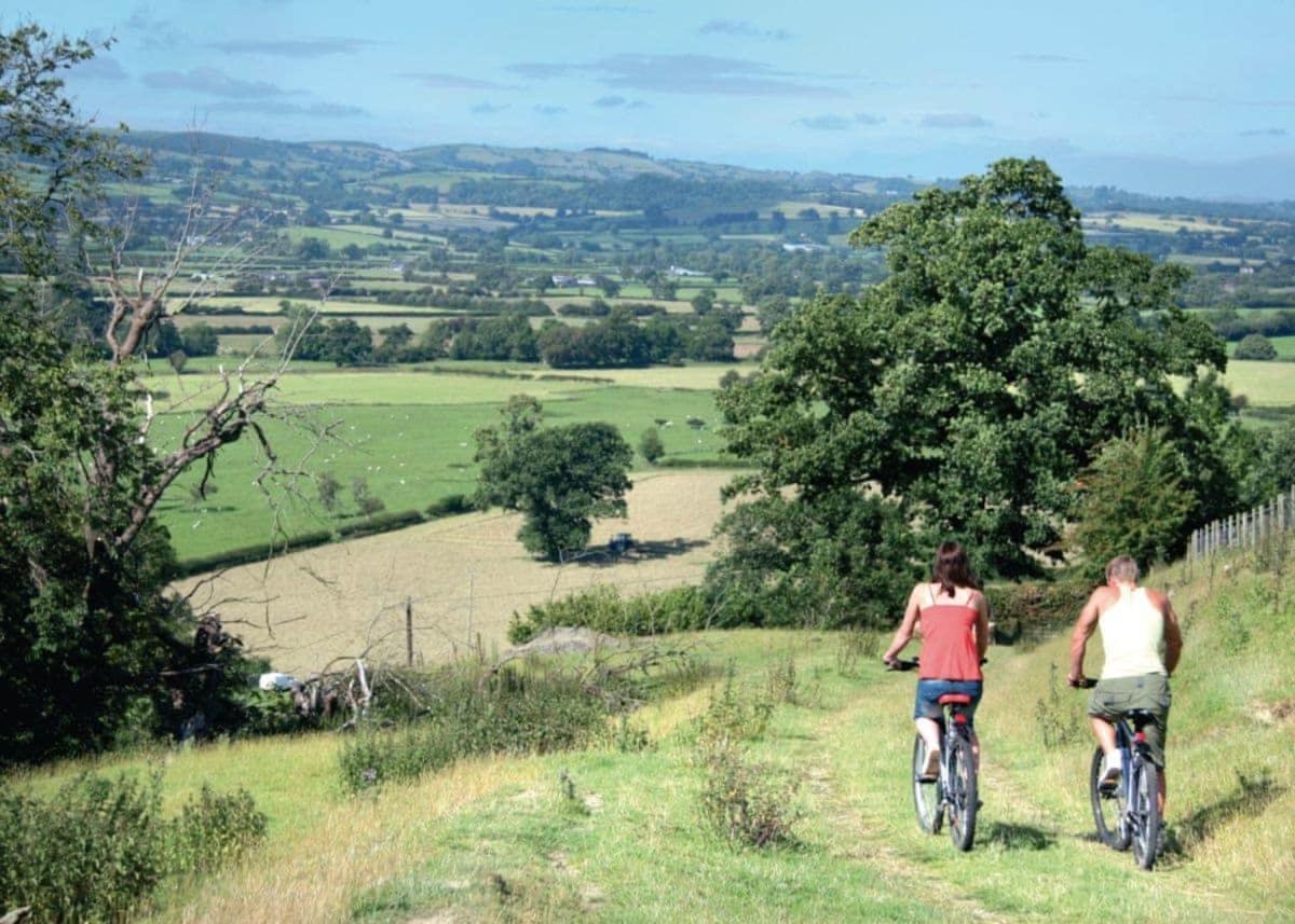 Trewythen Lodges Caersws Eksteriør billede